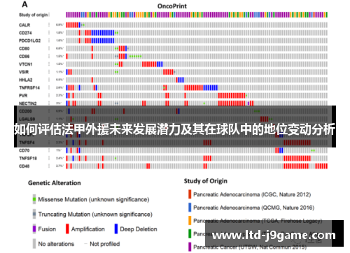 如何评估法甲外援未来发展潜力及其在球队中的地位变动分析 如何评估法甲外援未来发展潜力及其在球队中的地位变动分析